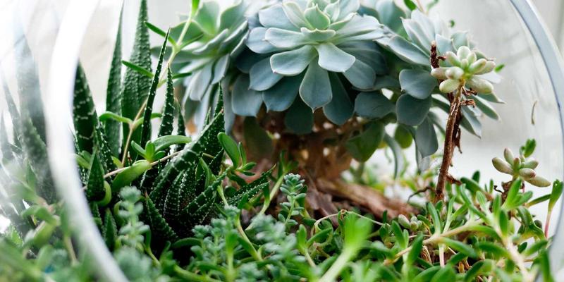 GLS Glass创新应用：防指纹AG磨砂玻璃如何重塑高端烤箱与冰箱的设计美学与用户体验