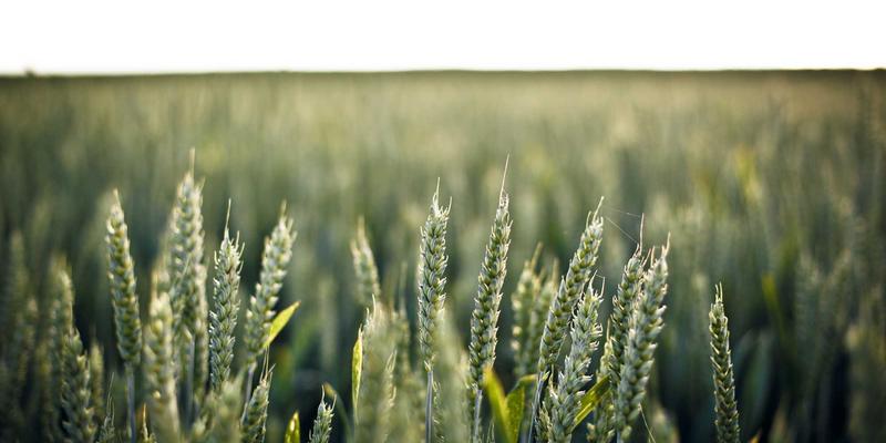 Glass Products 42：定制玻璃如何重塑现代生活与商业空间