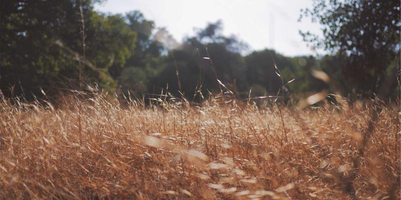 Glass Products是什么？从建筑玻璃到创新应用，探索GLS Glass的玻璃世界