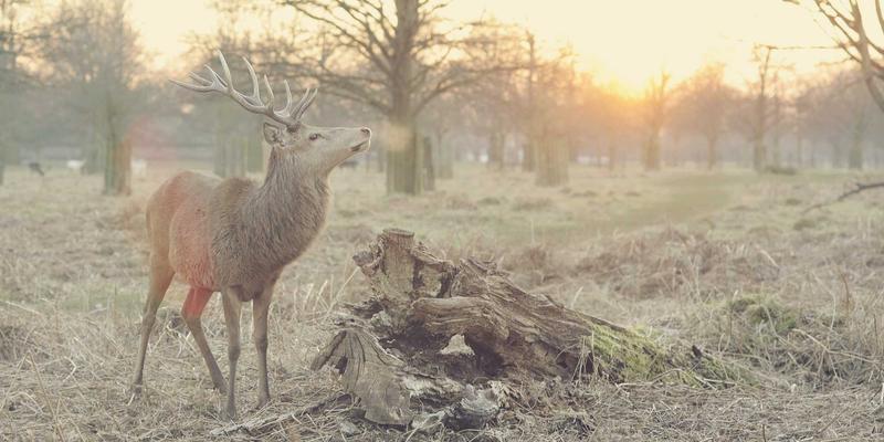 从基础到卓越：玻璃深加工如何重塑现代建筑玻璃产品