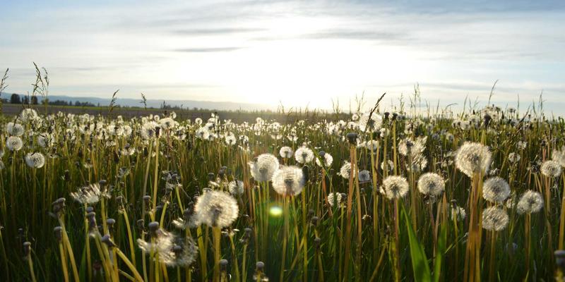 从建筑玻璃到定制艺术:玻璃制品如何塑造现代空间美学与功能