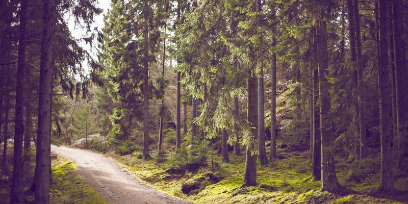 从建筑玻璃到药玻定制：GLS Glass如何引领药品相容性研究新进展