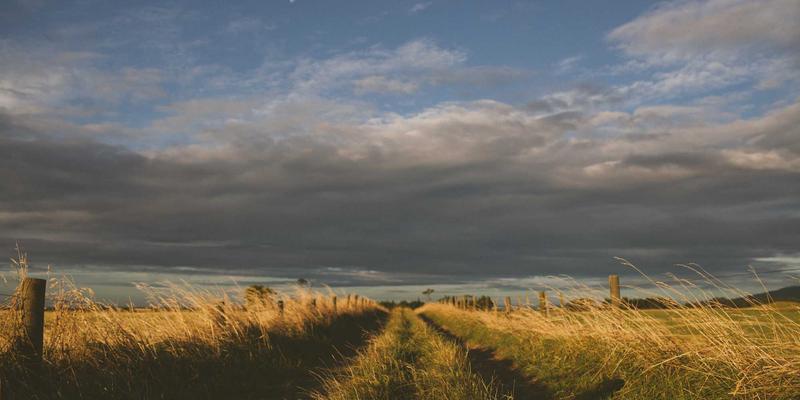 从选材到应用:建筑玻璃与深加工玻璃产品全攻略