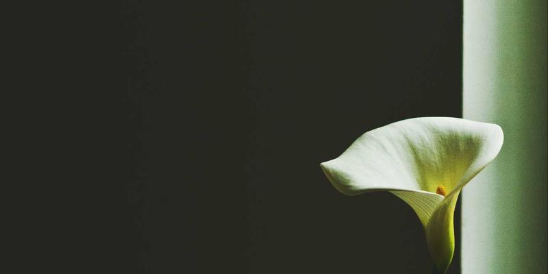 电致变色与热致变色玻璃：智能建筑幕墙的响应原理与控制革新